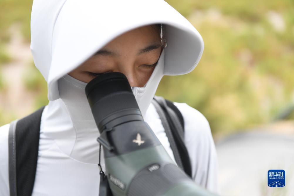 九五至尊捕鱼